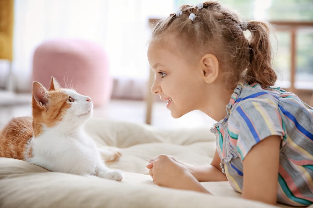 Little girl talking to a nice cat