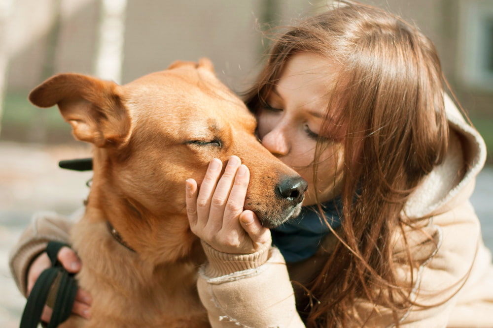 204 Red Dog Names Perfect for Ginger Pups