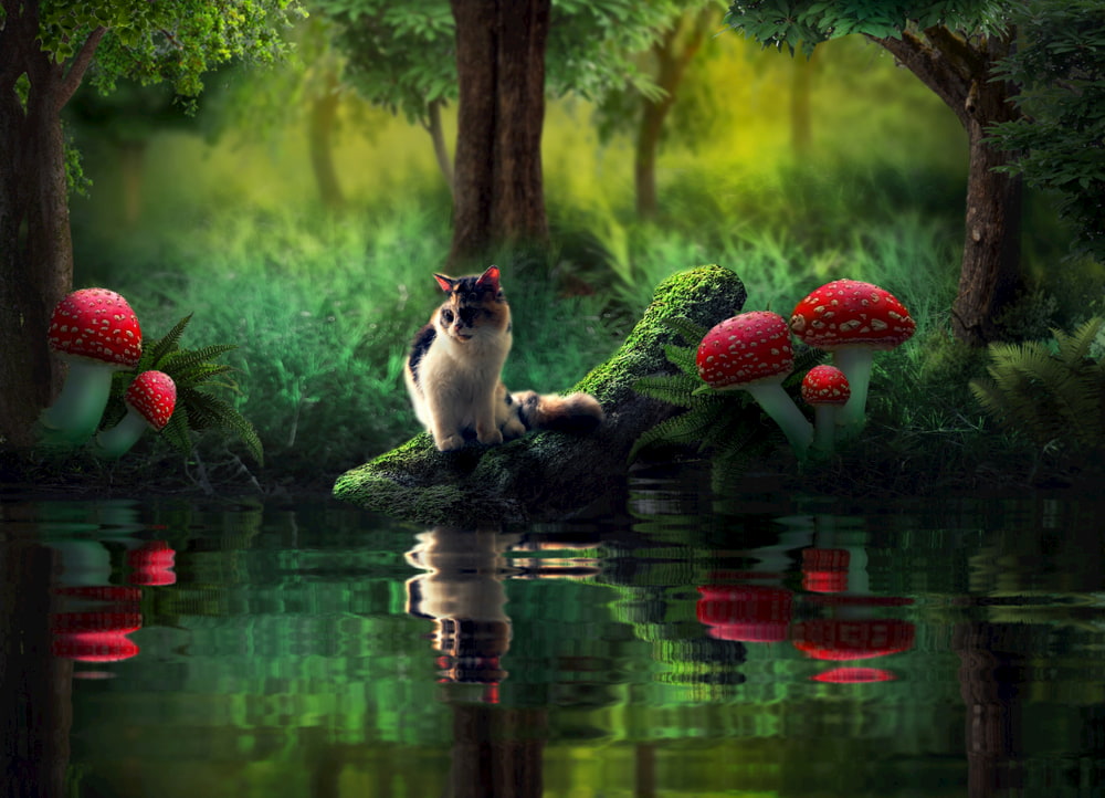 Cat in a fantasy mushroom world