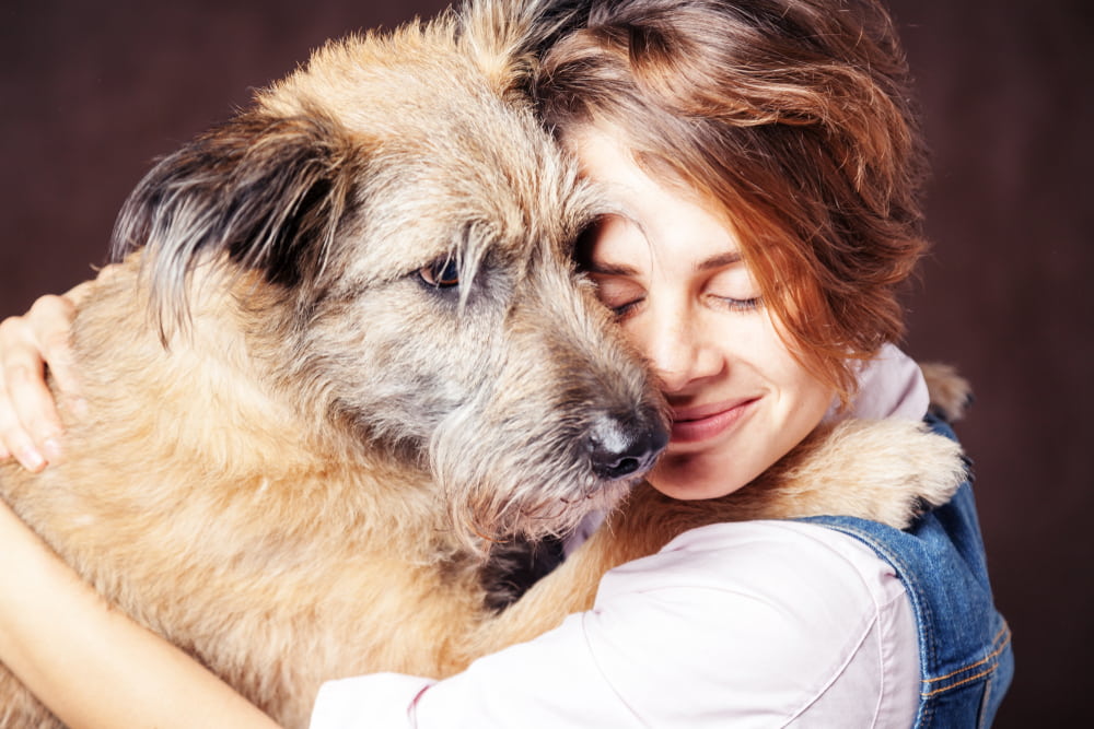 Training a Rescue Dog: Everything You Need to Know