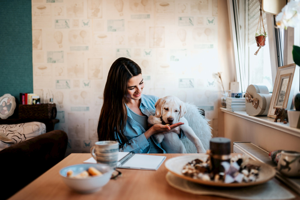 6 Reasons Your Dog May Need A Supplement