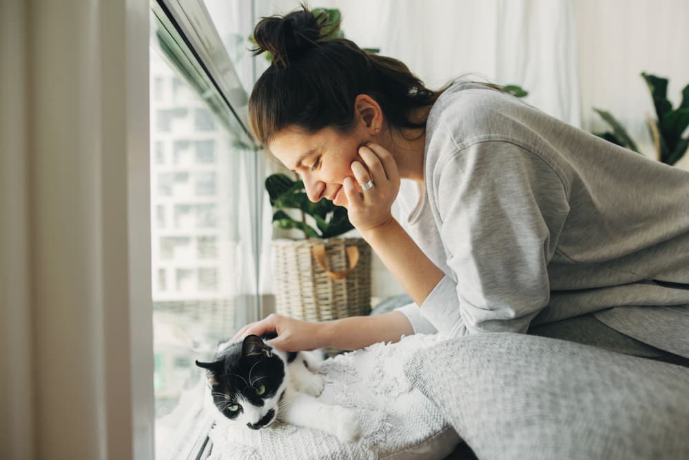 How to Introduce Cats: Essential Techniques to Try