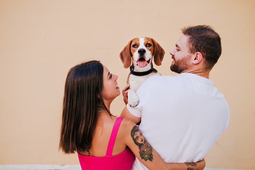 Couple holding a Beagle dog