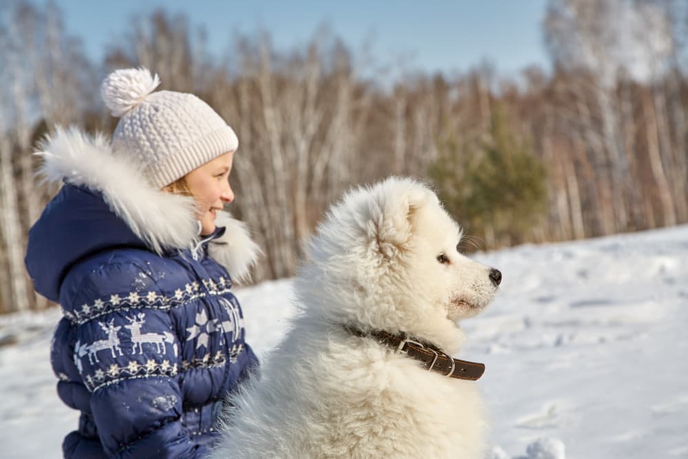 girl and dog in snow