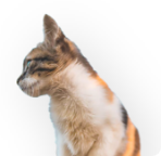 Can't find a name you like?