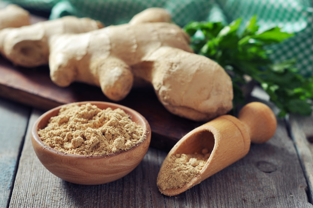 Can Dogs Have Ginger?