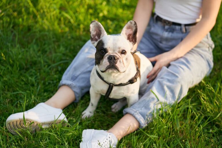 Woman sitting outside with French Bulldog