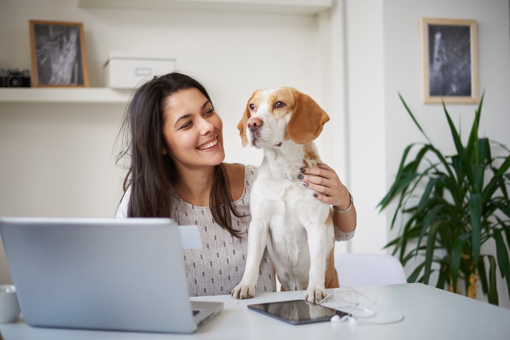 Woman researching on computer with dog