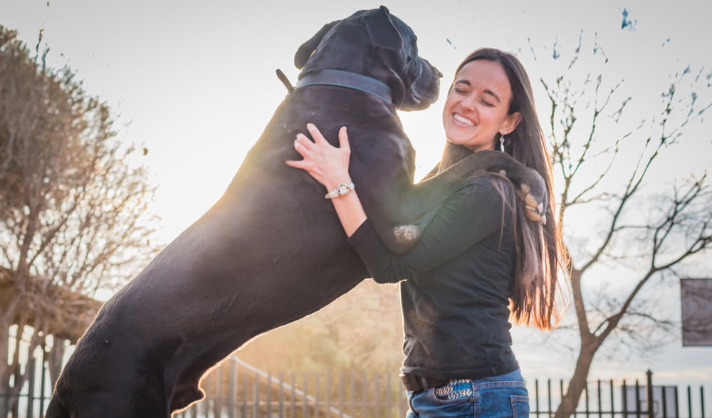 Woman with adopted Great Dane