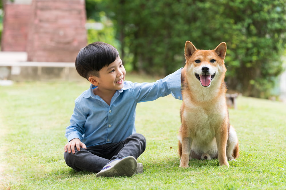 Japanese boy with dog