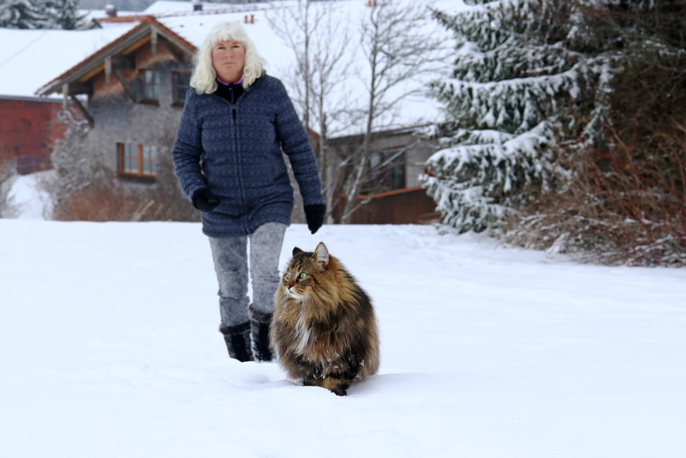 Woman with Norwegian Forest Cat outside