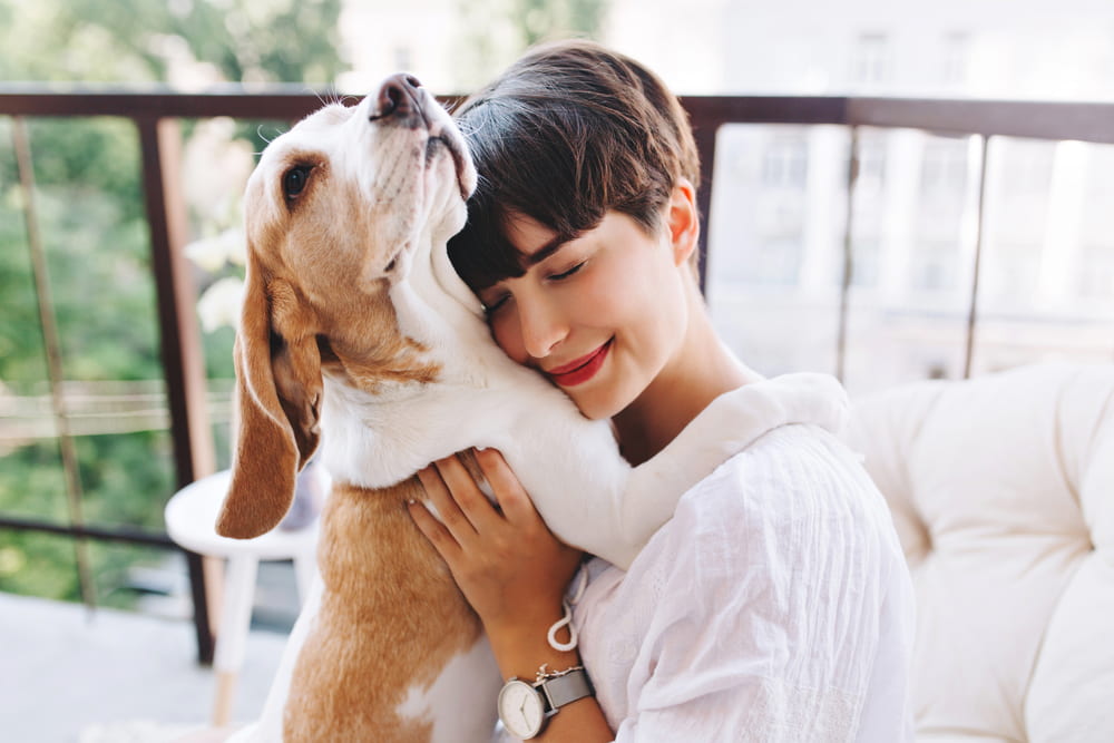 Woman hugging adopted Beagle