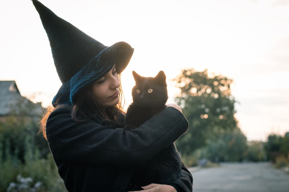 65 Witchy Cat Names for Spirited Felines