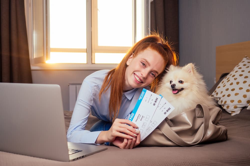 Flying with Dogs: Best and Banned Breeds on Airlines