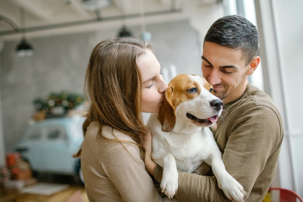 Couple with Beagle dog