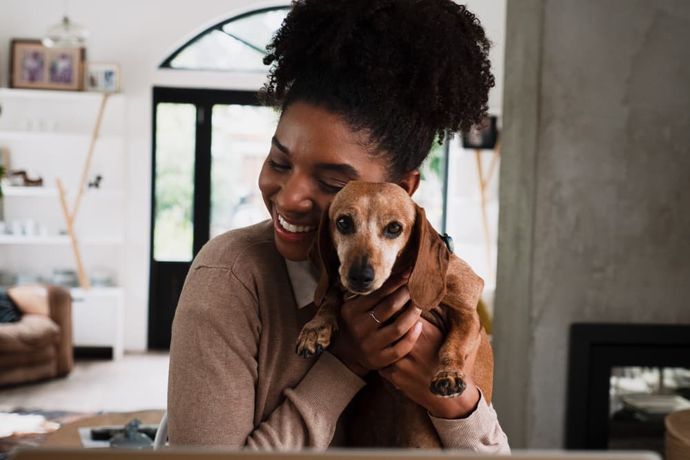 Pet Wellness Plans: 8 Top Ones to Consider Pet Wellness Plans: 8 Top Ones to Consider