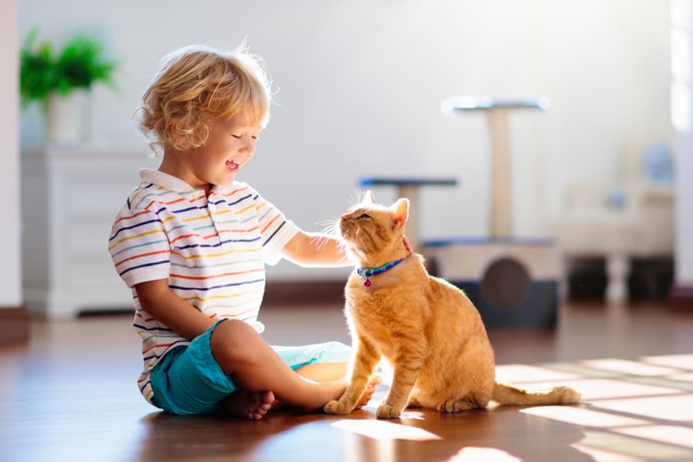 Little boy sitting on the floor petting his cat with a big smile on his face