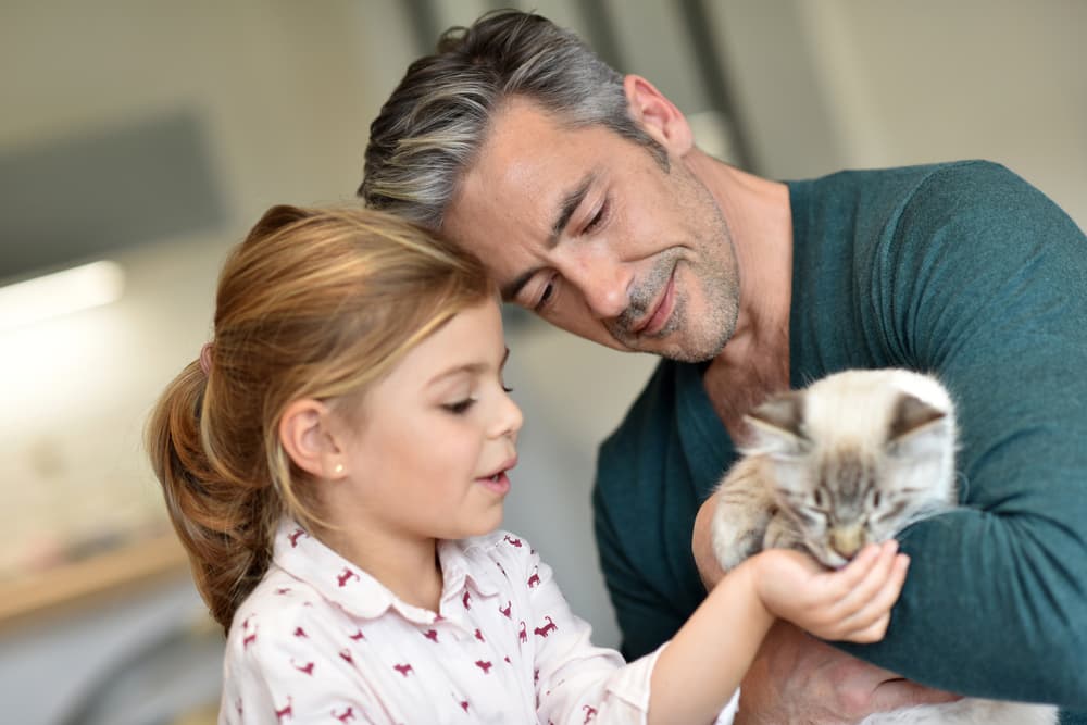 Little girl feeding her cat treats while her dad holds the cat