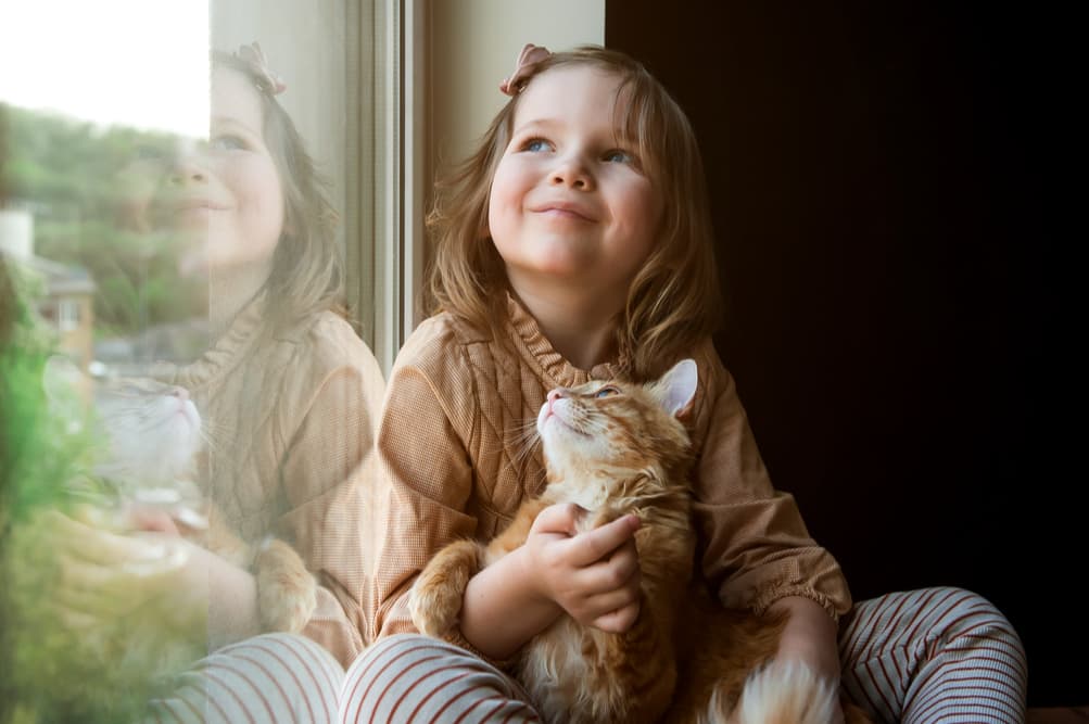 Child sitting on a windowsill sitting with cat both are very happy