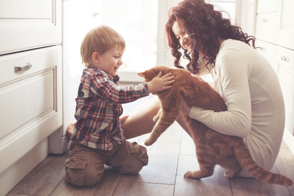 Child and mother playing with a cat on the kitchen floor