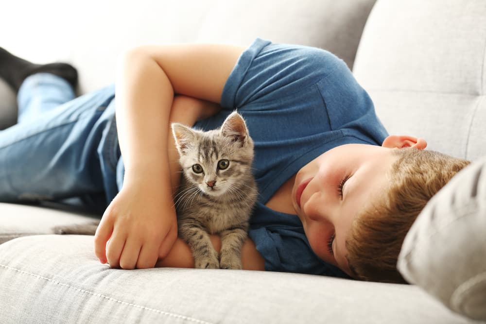 Kitten sitting on the couch with young boy and arms around the cat