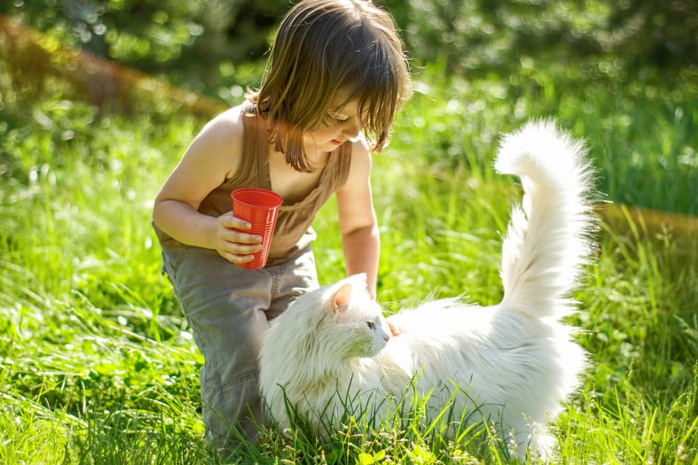 Child petting a cat in the garden