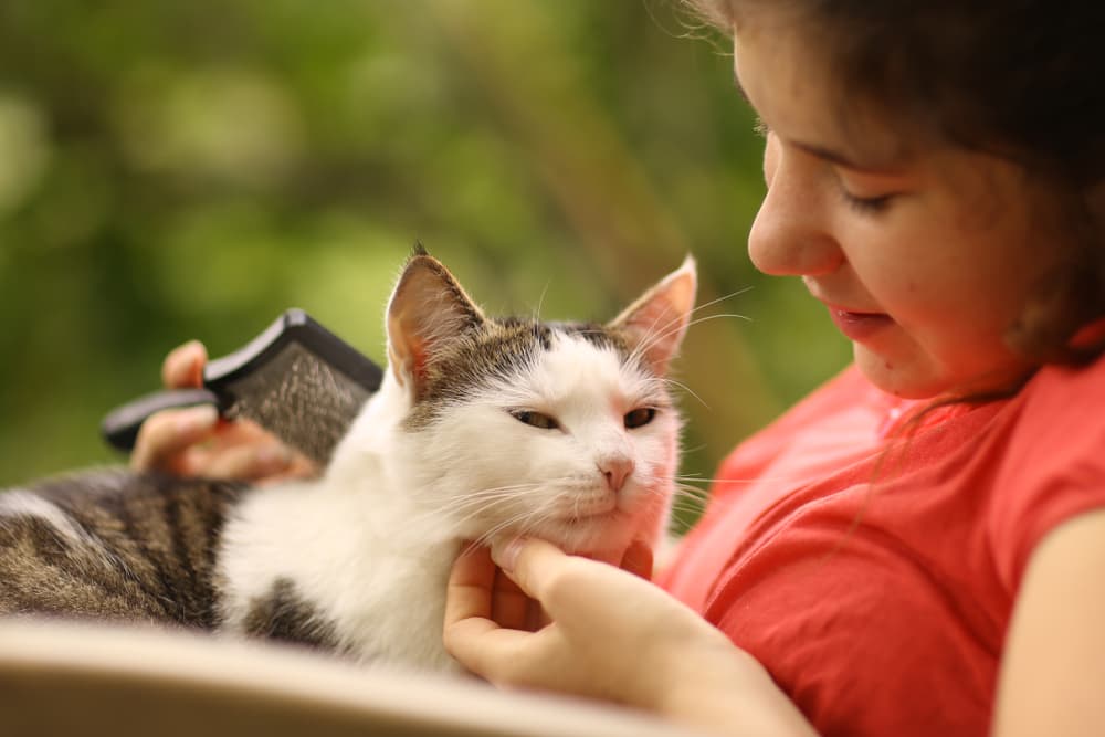 Teenager petting and brushing her cat