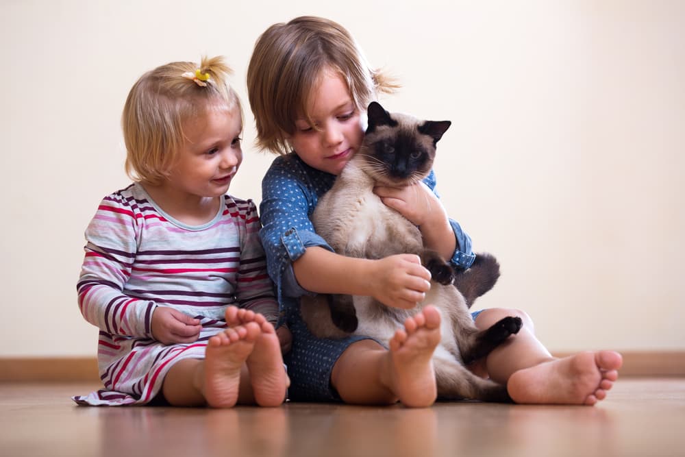 Two kids sitting on the ground with their ragdoll cat