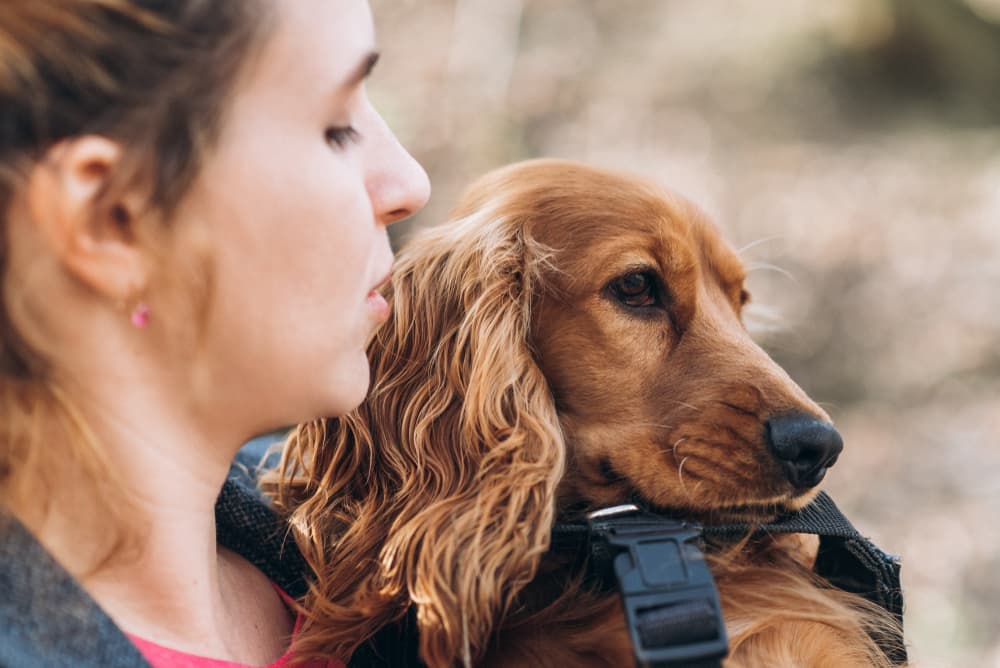 Woman holding dog and dog looking distressed about to clean dog's wound
