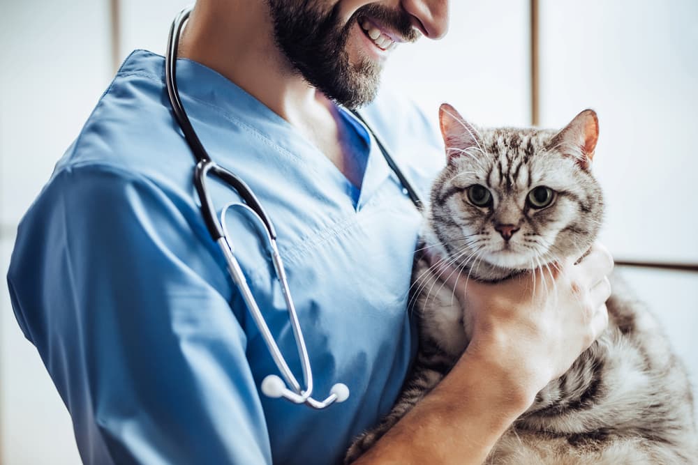 9 Best Pet Insurance Companies