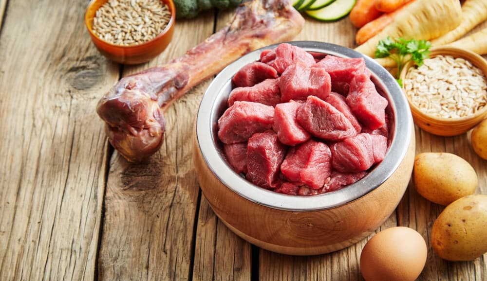 raw dog food in bowl
