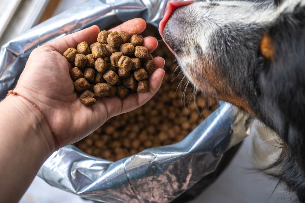 Kibble in dog food bag