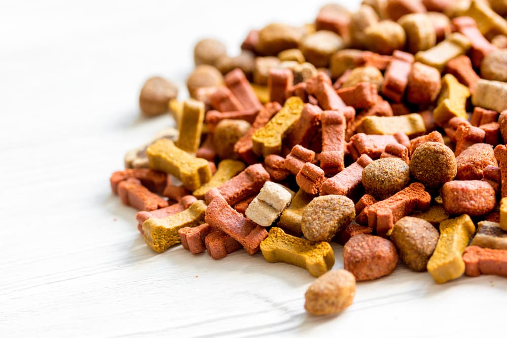 Dog food on table