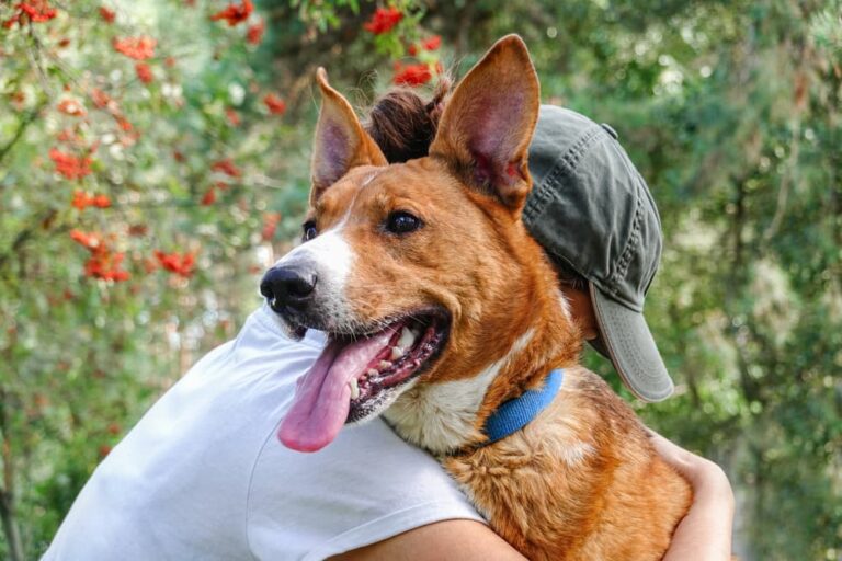 woman hugging dog