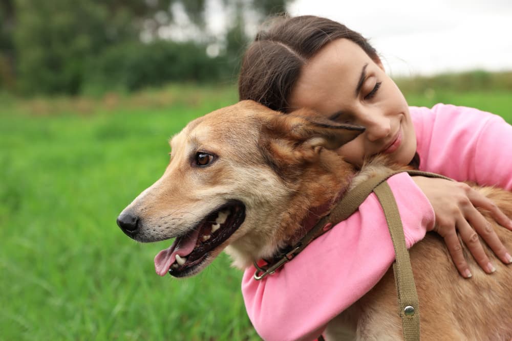 Owner hugging dog