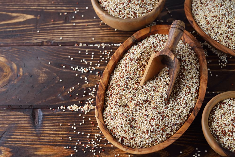 Bowl of quinoa a grain commonly used in vegan dog food