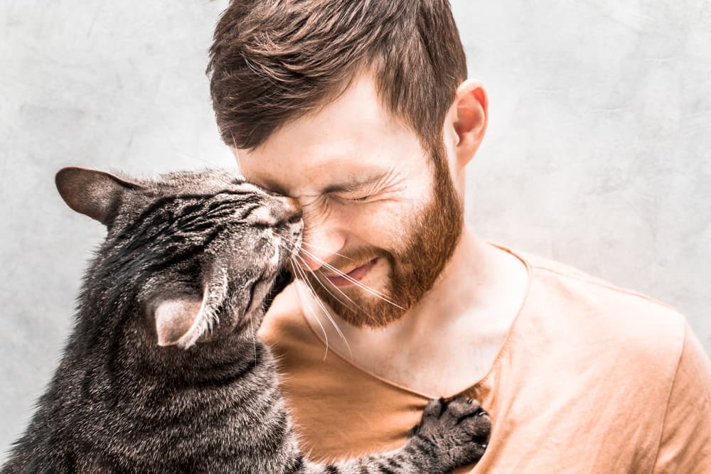 Cat giving owner kisses