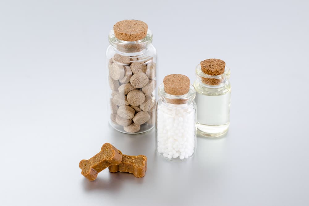 Dog vitamins in a few different forms liquid, chews, treats