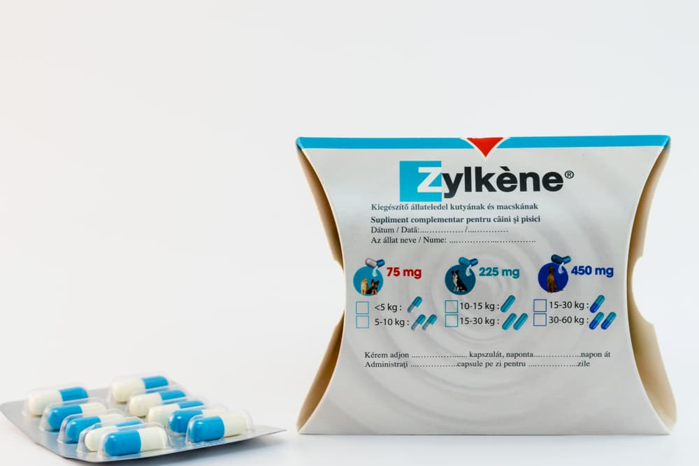 Zylkene for cats fod supplement