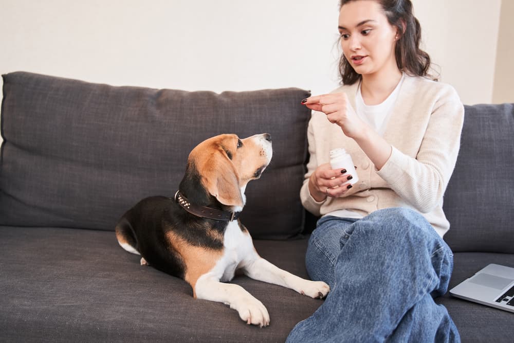 Woman with dog vitamin bottle giving dog vitamins on couch