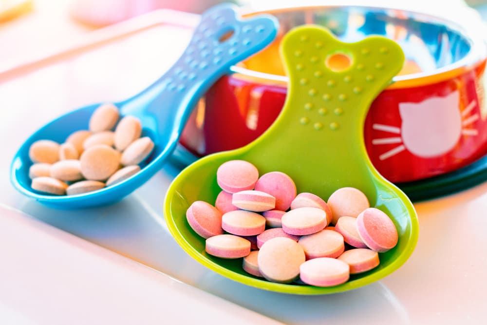 Bowls of supplements for cats