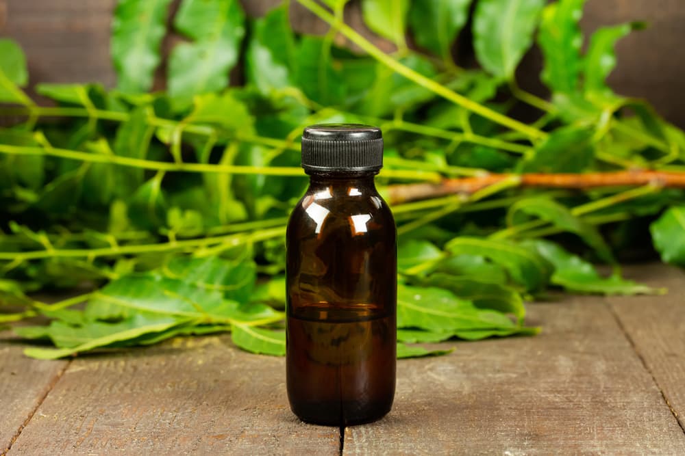 neem oil in bottle and neem leaf on wooden background to be used as neem oil for dogs