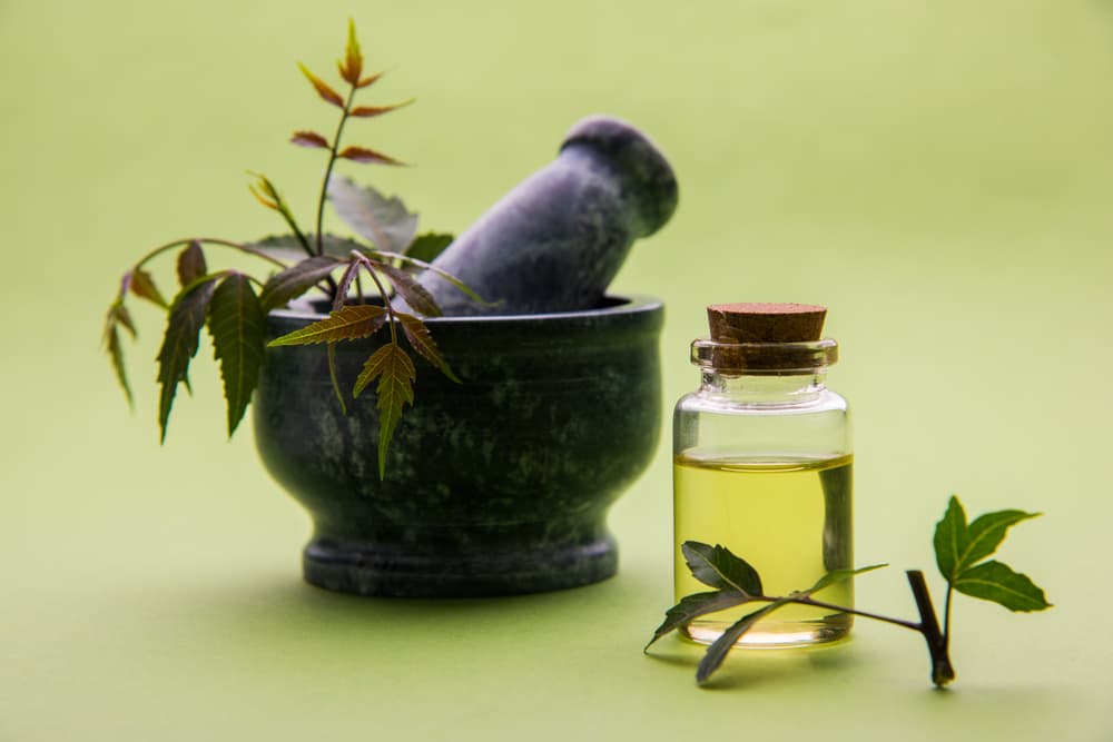 Bottle of neem oil with neem plants next to it