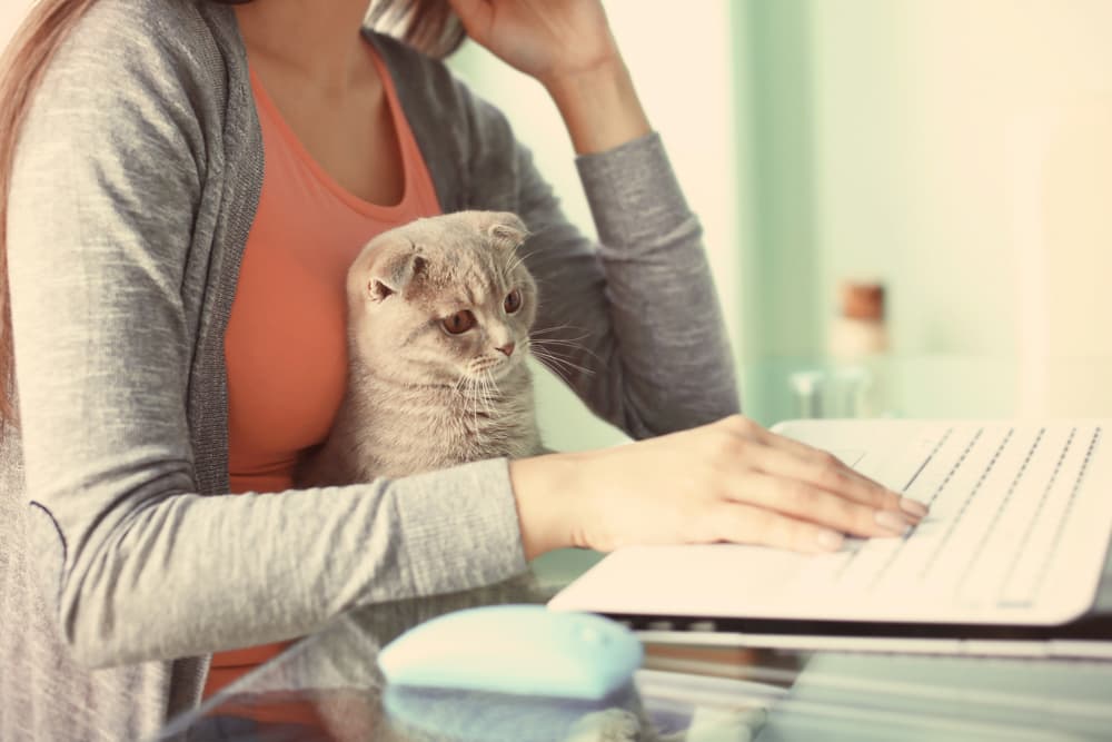 woman with cute cat using laptop at home