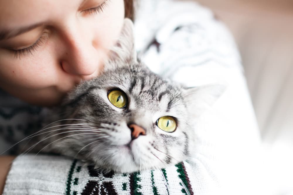 Cute kid snuggling a cat for spot pet insurance review