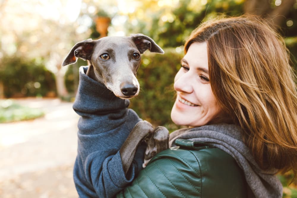 78 Italian Dog Names That Are Molto Buona