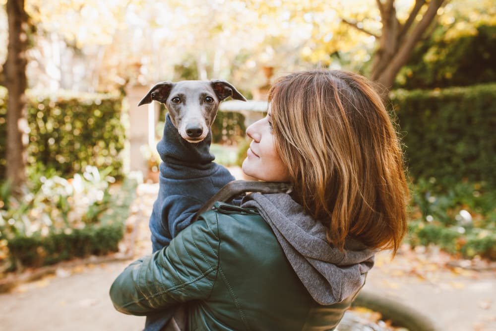 Owner looking at dog while holding him