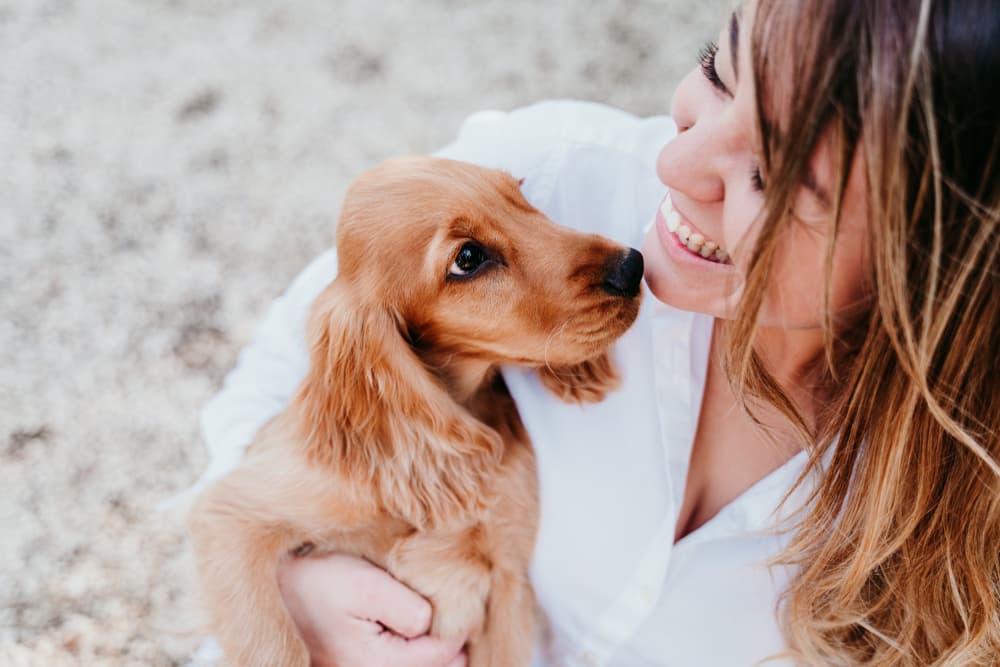 Owner with cute puppy on the beach