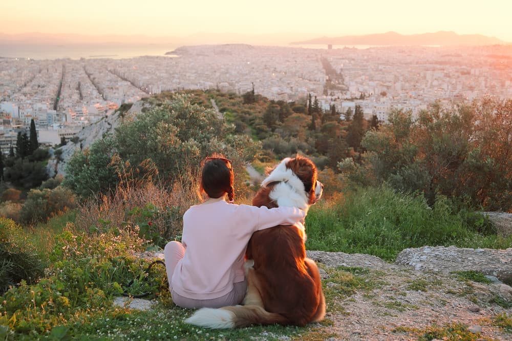 Owner and dog sitting in a field looking out at Athens