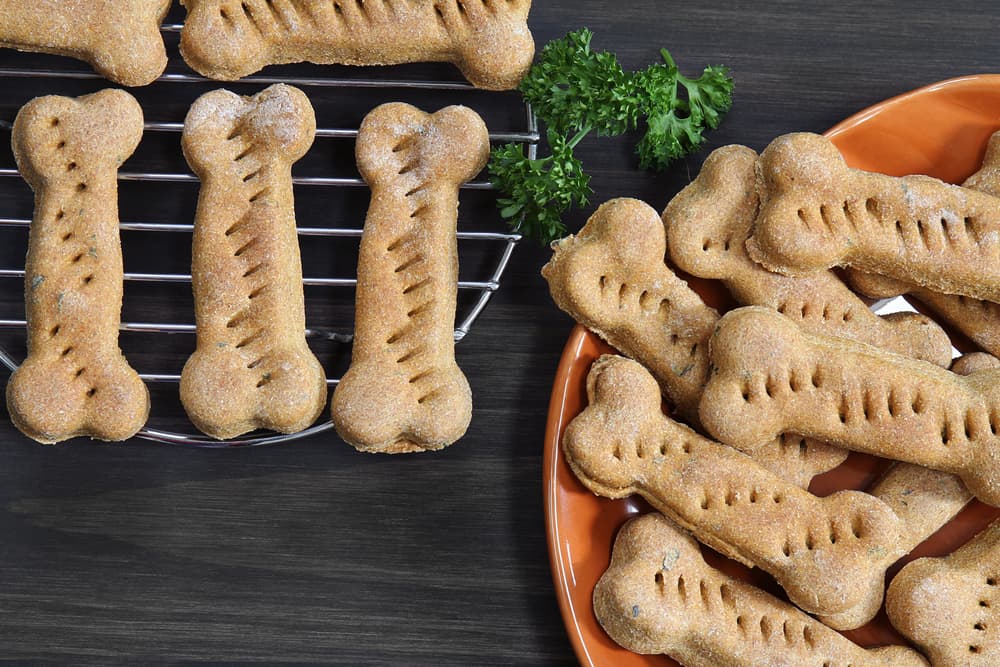 homemade-pumpkin-dog-treats